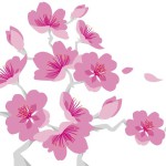 körsbär skuggor- Nordic IVF Centers logga