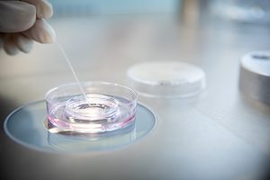 Nordic IVF Göteborg