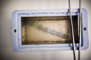 NordicIVF_juni-17_B88A1631