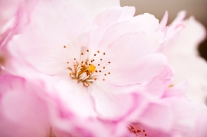 Barnlöshet Göteborg Barnlöshet Göteborg