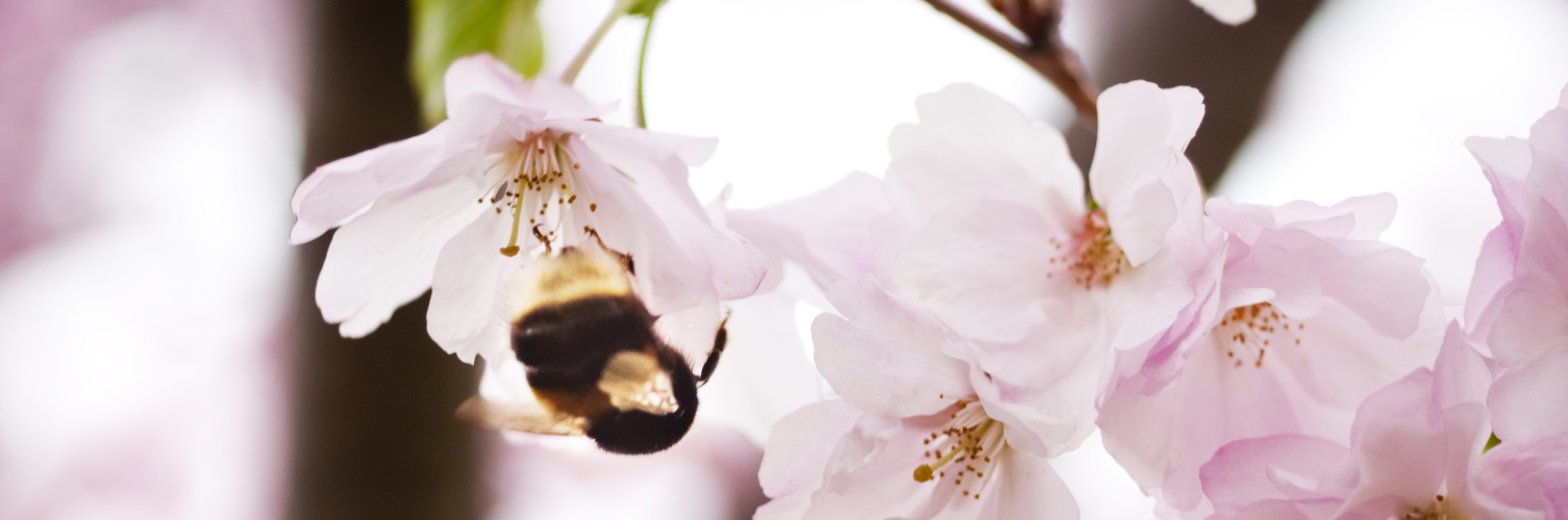 Barnlöshet Barnlöshet - NordicIVFCenter