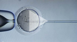 ivf behandling