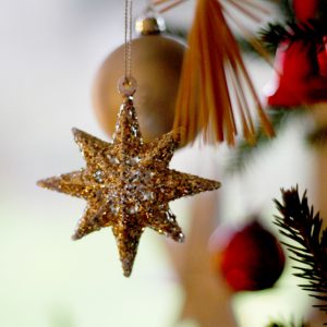 God Jul önskar Nordic IVF