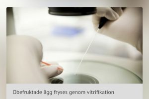 Nordic IVF Äggfrys 10 år